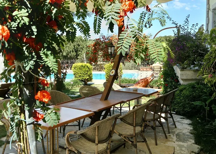 住宿加早餐酒店 Dolina 3*