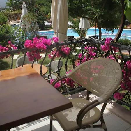 Oda ve Kahvaltı Dolina